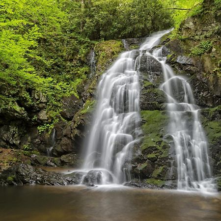 Highland Dream, Hot Tub, 1089 Free Tickets Each Paid Day, Dollywood And More Sevierville Dış mekan fotoğraf