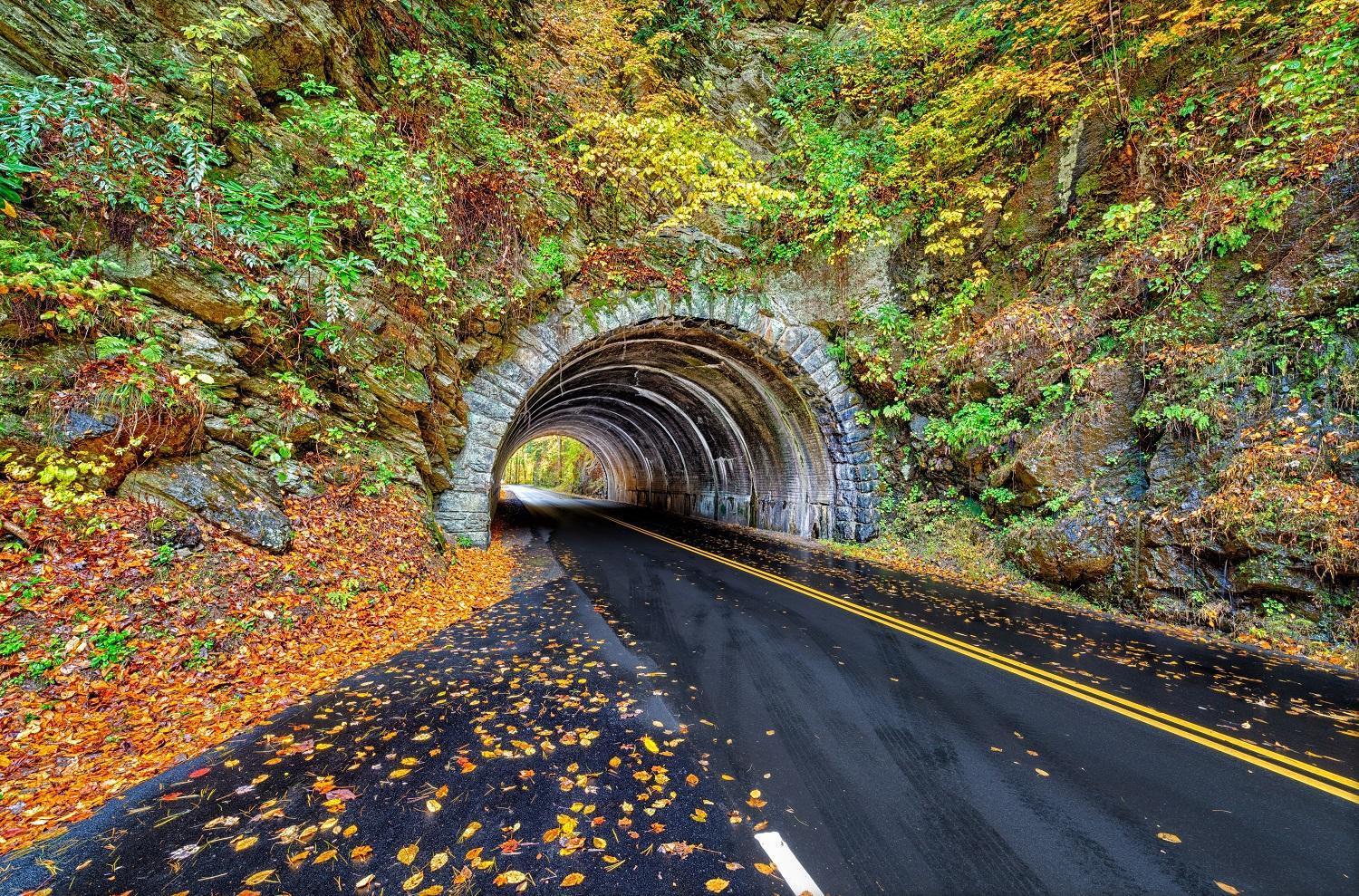 Highland Dream, Hot Tub, 1089 Free Tickets Each Paid Day, Dollywood And More Sevierville Dış mekan fotoğraf