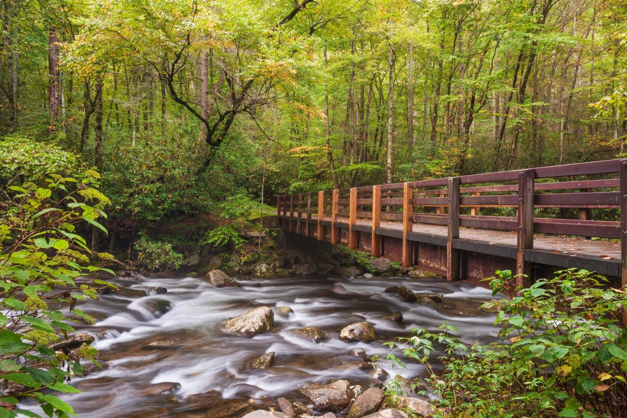 Highland Dream, Hot Tub, 1089 Free Tickets Each Paid Day, Dollywood And More Sevierville Dış mekan fotoğraf